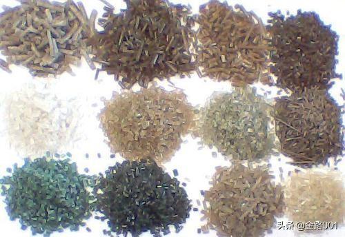 利潤行業的隱形冠軍 揭秘泡沫造粒機的商業潛力