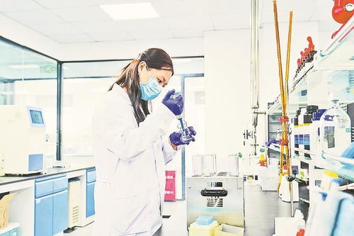 石家莊細胞工廠生產(chǎn)忙碌，鳳凰網(wǎng)河北報道其網(wǎng)絡文化經(jīng)營新動向